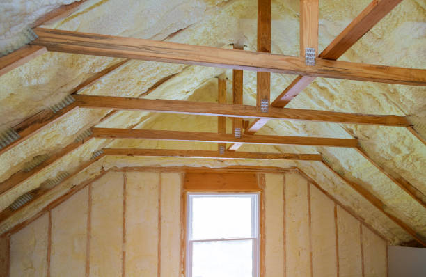 Best Cellulose Insulation in Rising Sun, MD